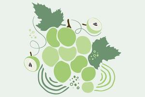 Sweet muscat grape in flat design pattern vector