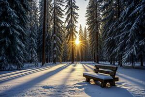 Snow-covered bench in a serene winter forest at sunrise photo