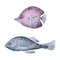 Monochrome dusty pink fishes in soft ruby and indigo tones watercolor illustration isolated. Marine life animals of abstract forms in set. Underwater ocean creatures hand drawn for nautical design vector