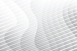 gradient abstract wave white and gray modern soft and clean background template vector