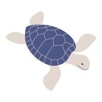 Hand drawn illustration of sea turtle for summer and beach themed designs vector