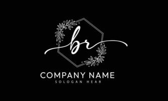 BR R B initial signature logo template vector