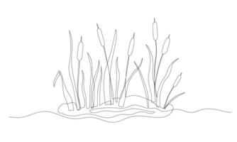 Reed one continuous line illustration. Hand drawn doodle drawing of pond on white background vector