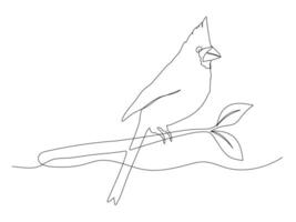 Cardinal one continuous line illustration. Hand drawn doodle sketch of bird on branch vector