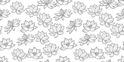 Seamless pattern with lotus flowers sketch. Botanical hand drawn line monochrome background vector