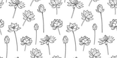 Seamless pattern with lotus flowers. Line sketch. Botanical hand drawn illustrations vector