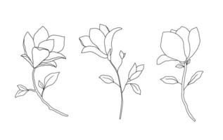 Magnolia line art illustration. Hand drawn black ink sketch isolated on white. Outline floral doodles set vector