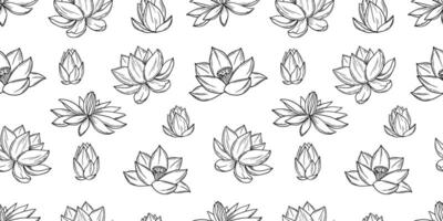 Seamless pattern with lotus flowers sketch. Botanical hand drawn line illustrations vector
