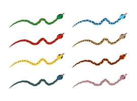 Illustration set of snakes with colorful skin pattern. Isolated on white background. vector
