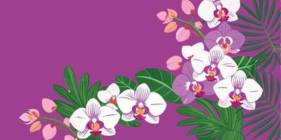 Palm leaves and orchids on purple background vector