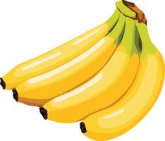 a drawing of a bunch of bananas with green on the top vector