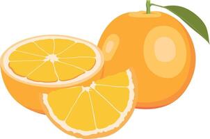 a drawing of a lemon and orange with a green leaf vector