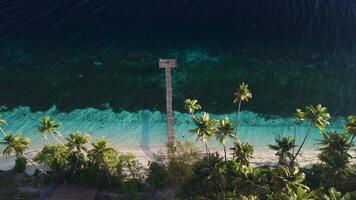 Paradise coastline with wooden pier, coconut palm trees and sunrise tones in Indonesia. Static drone view video