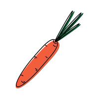 Abstract Outline Carrot with leaves and spots in green and orange Vegetables design element concept. Isolated illustration Thematic cards, posting, blog or web promo banner, leaflet, tag, label vector