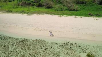 family having fun on the ocean beach of Gris Gris. Family enjoying a holiday in Mauritius video