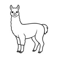 Cute llama outline drawing with a simple, playful style vector