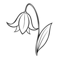 Line art illustration of a Common Bluebell flower with its iconic drooping stem, bell-shaped blooms, and single leaf vector