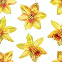 Yellow daffodils hand painted in watercolor. Seamless watercolor pattern with daffodils. Suitable for printing on cards, invitations, for March 8, spring products vector