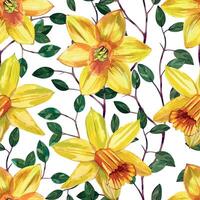 Yellow daffodils and green leaves and branches, hand painted in watercolor. Seamless watercolor pattern with daffodils. Suitable for printing on cards, invitations, for March 8, spring products vector