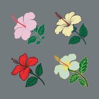 Hibiscus flower bundle in different color. elegant greeting card elements. vector