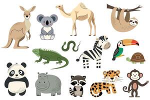 Wild animals. African zebra, leopard, koala, camel, sloth, iguana, kangaroo. Hand drawn safari animals set. vector