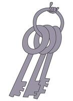 Door key isolated on white background vector