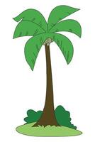 Coconut tree isolated on a white background vector
