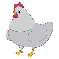 Hen isolated on a white background vector