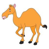 Camel isolated on a white background vector