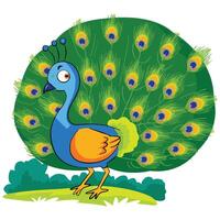 Peacock isolated on a white background vector