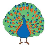 Peacock isolated on a white background vector