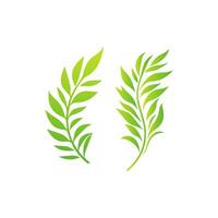 Two green leaves are shown on a white background vector