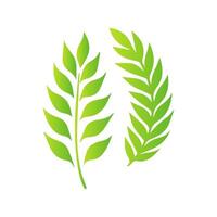 A green leaf icon on a white background vector