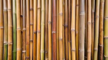 Brown wooden bamboo wall with vertical boards, creating a rustic and organic background for tropical or natural settings. photo