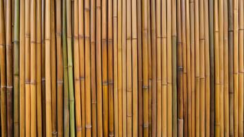 Brown wooden bamboo wall with vertical boards, creating a rustic and organic background for tropical or natural settings. photo