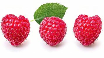 Fresh Ripe Raspberries with Leaf Isolated on White Background photo