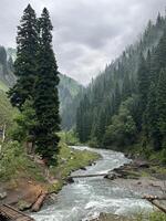 A river runs through a forest with trees and rocks photo