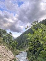 A river flowing through a forest with trees and rocks photo