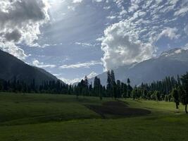 A grassy field with trees and mountains in the background photo