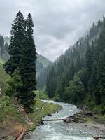 A river runs through a forest with trees and rocks photo