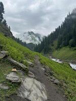 A path leading to a river in the mountains photo