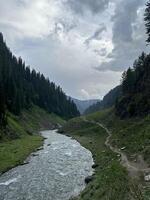 A river runs through a valley surrounded by trees photo