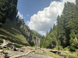 A river runs through a forest with rocks and trees photo