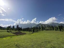 A grassy field with mountains in the background photo