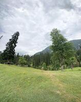 A grassy field with trees and mountains in the background photo