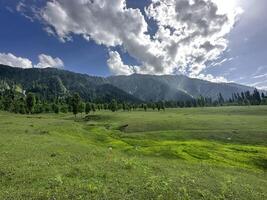 A grassy field with mountains in the background photo