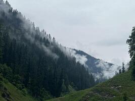 A valley with trees and mountains in the background photo