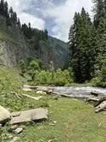 A river runs through a forest and mountains photo