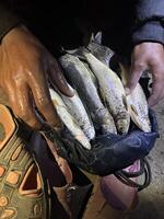 A person holding fish in a bag with their feet photo