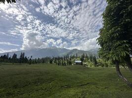 A view of a field with trees and mountains photo